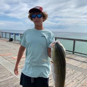 Meet your Posher, Alex